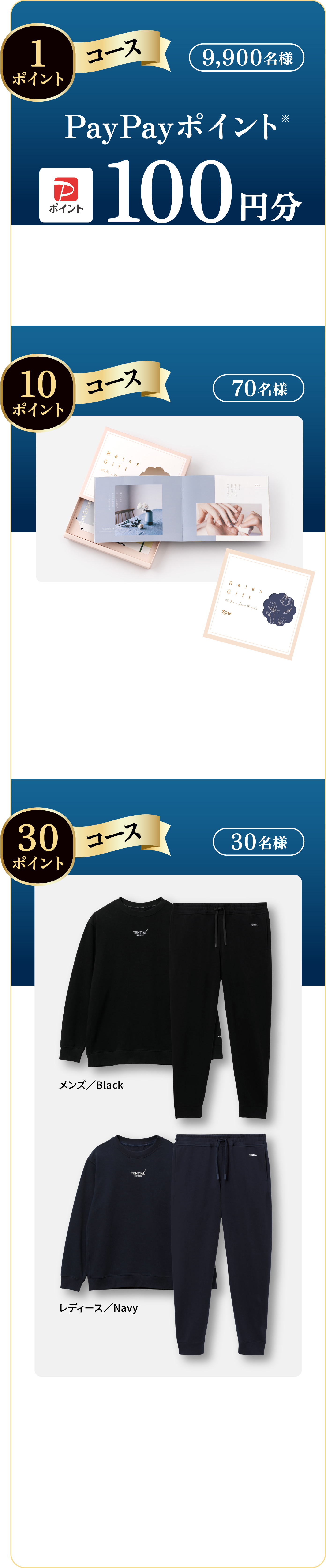 星野リゾート宿泊ギフト券5万円分、「びらとり和牛専門店くろべこ」びらとり和牛ハンバーグセット180g×6、えらべるPay 300円分